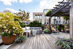 Roof garden with wood and plants and sky